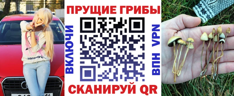 Купить  Архангельск  Галлюциногенные грибы ЛСД 